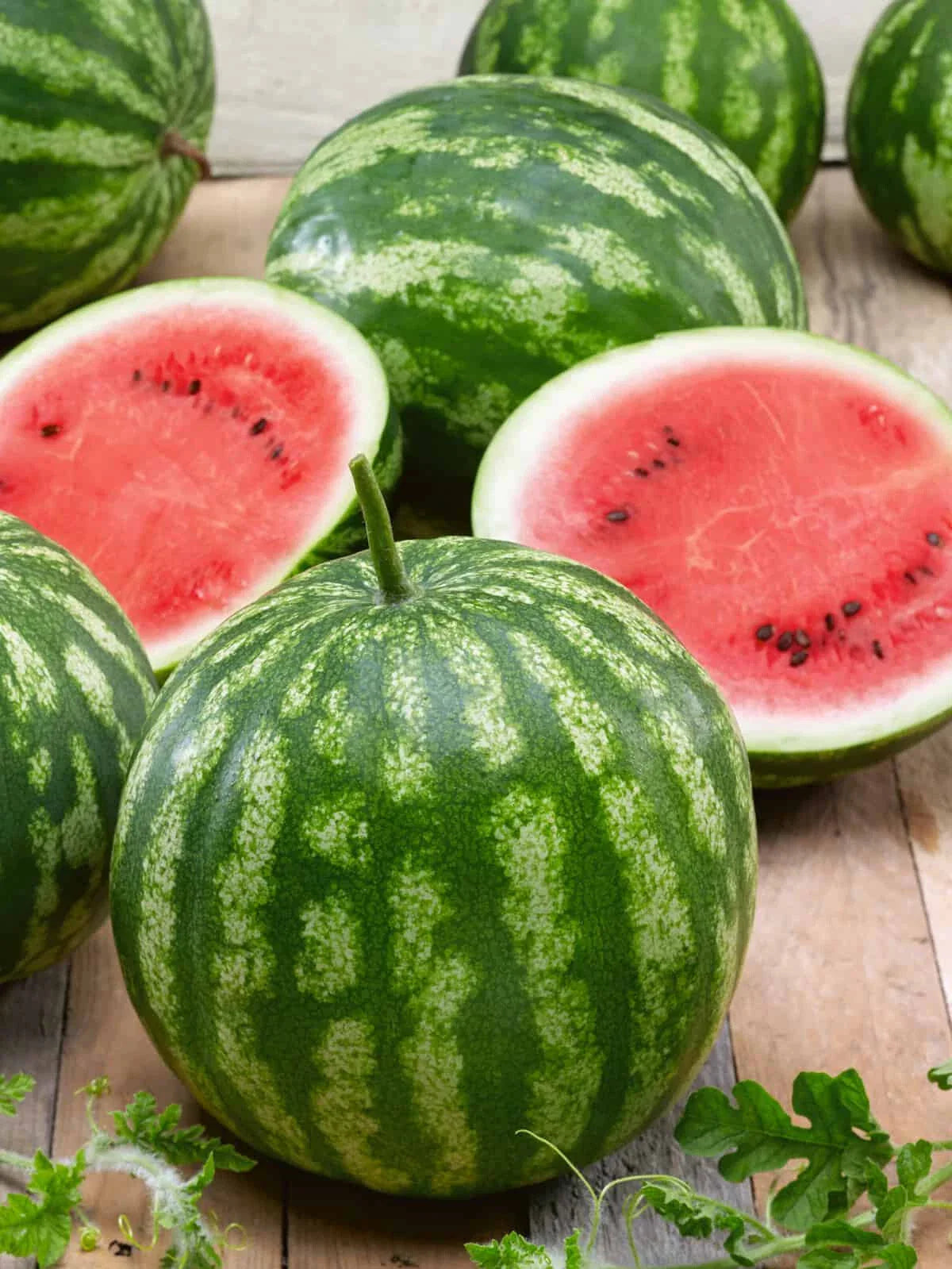 Cal Sweet Bush Watermelon Seeds - 50+ Organic Heirloom Seeds for Garden Planting - Citrullus lanatus