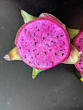 Dragon Fruit Cutting 6+ inches Purple Haze Organic Pitaya (Hylocereus undatus)