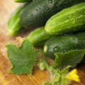 Non-GMO Long Green Improved Cucumber Seeds for Home Garden - Cucumis sativus - Shipped with Tracking