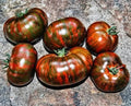 Chocolate Stripe Tomato Seeds - 120+ Heirloom Organic Non-GMO Rare Variety - Solanum lycopersicum
