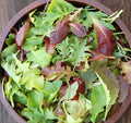 Gourmet Mesclun Mix Seeds 1oz Organic Lettuce Greens Blend for Garden Container - Ideal for Home Gardening