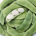 Bean Seeds - 20 Count Henderson Dwarf Baby Lima - Non-GMO Vegetable Seeds - USA Grown