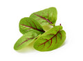 Red Veined Sorrel Seeds - Colorful Salad Greens - Rumex sanguineus - Fast Shipping, Tracking Included