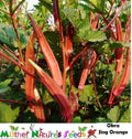 Okra Seeds - 50 Count JING ORANGE Asian Variety with Delicate Red/Orange Pods (Non-GMO)