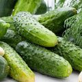 Boston Pickling Cucumber Seeds - 50+ Non-GMO Heirloom - Fresh Cucumis sativus