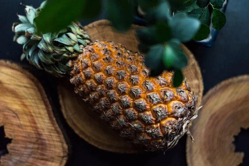 Giant Kew Pineapple Seeds – 15+ Seeds for Garden Planting – Ananas comosus – USA