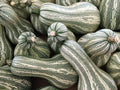 Green Striped Cushaw Pumpkin Seeds 10+ Count Gourd Vegetable Cucurbita argyrosperma