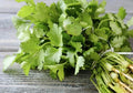 Cilantro Seeds 200 Count | Organic Heirloom Non-GMO Coriander Seeds - USA Seller