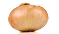 Vidalia Onion Seeds 500+ Count for Garden Planting - Allium cepa - USA Grown, Non-GMO