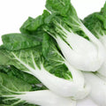 Pak Choi Seeds 300+ Count Non-GMO White Stem Chinese Cabbage Brassica rapa