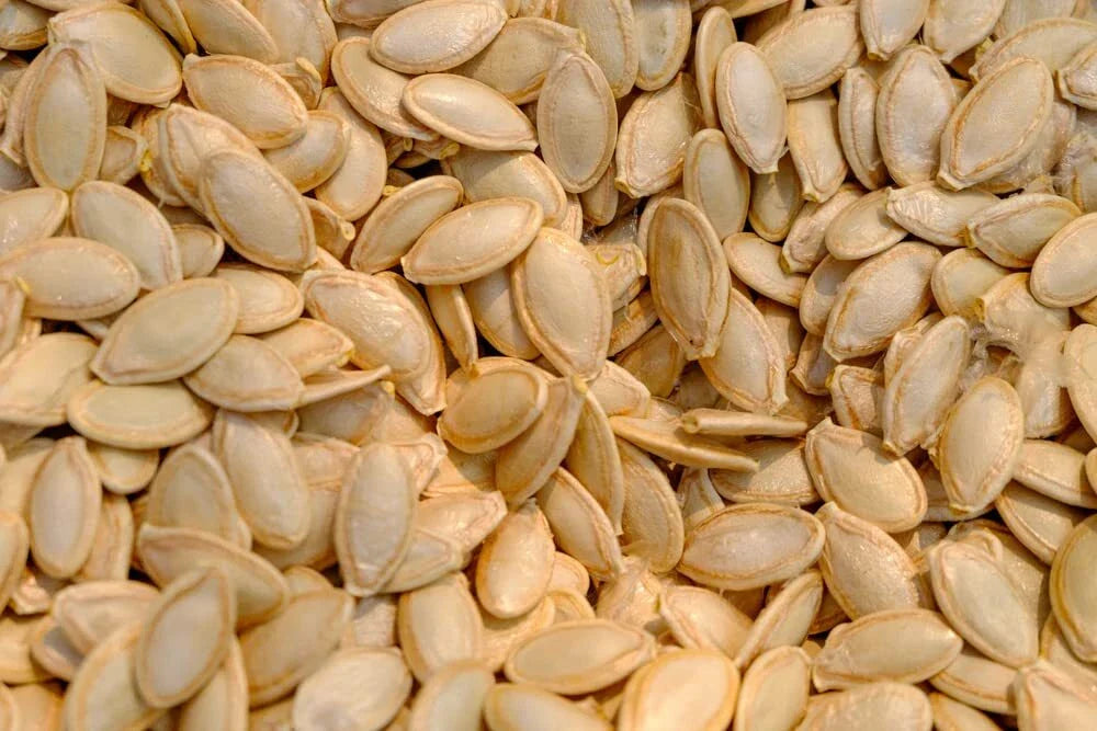 Delicata Squash Seeds for Planting - 20 Jester Seeds - Cucurbita Pepo - Heirloom, Organic, Non-GMO