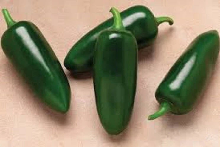 Organic Heirloom Jalapeno Seeds - Premium Fresh Seeds - 2000 to 8000 Scoville - Capsicum annuum