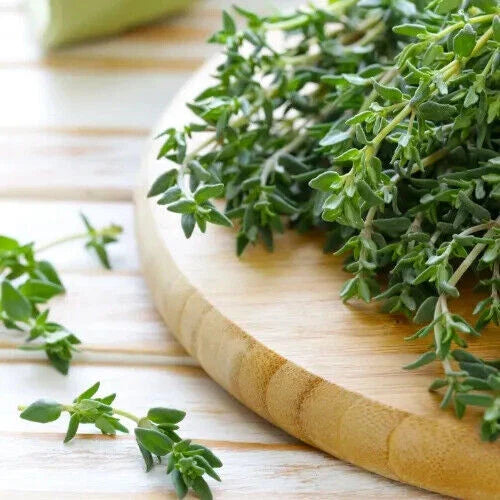 Thyme Seeds | Heirloom Non-GMO Herb Seeds | Culinary Herb | Thymus vulgaris