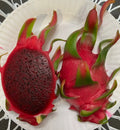 Dragon Fruit Cuttings Starter Pack 7-9 Inches Long, "Sin Espinas" Variety, (4) Pieces, Hylocereus undatus