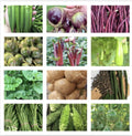 20 Packets Asian Vegetable Seeds for Planting, Non-GMO, Variety Pack for Home Garden, Edible Plants