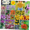 Perennial Wildflower Seeds Mix, 5 lb, 2,400,000+ Seeds, Non-GMO, Native Flowers for Planting, Wildflower Blend