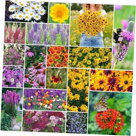 Perennial Wildflower Seeds Mix, 5 lb, 2,400,000+ Seeds, Non-GMO, Native Flowers for Planting, Wildflower Blend