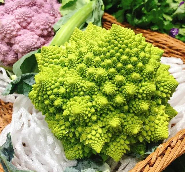 Romanesco Broccoli Seeds - 1000+ Non-GMO Organic Heirloom Seeds - Fresh Gardening Supply
