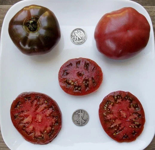 Paul Robeson Tomato Seeds - 25 Fresh Seeds - Delicious Purple Variety - Solanum lycopersicum