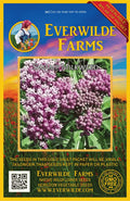 Swamp Milkweed Wildflower Seeds - 1 Oz Mylar Packet - Asclepias incarnata - Everwilde Farms