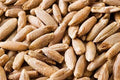Rye Berries 4 Pounds | High Fiber & Iron | Whole Grain Rye (Secale cereale) - 4 lb Bag