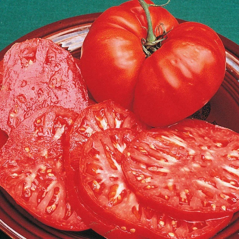 Brandywine Tomato Seeds - 25 Fresh Heirloom Vegetable Garden Seeds - Solanum lycopersicum