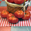 Tomato Seeds 1000 Count Chef's Choice Red Heirloom (Solanum lycopersicum) Heavy Producer, Vigorous Vining Plant