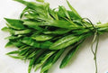 Fresh Tarragon Seeds - 200+ Pack - Artemisia dracunculus - Heirloom Culinary Herb - Free USA Shipping