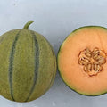 Melonade Cantaloupe Seeds - 10 Seeds for Planting - Sweet Flavor, High Yield - Cucumis melo
