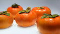 Fuyu Persimmon Tree Seedling 6"-1' Diospyros Kaki Live Plant Bare Root Hardy Fruit Tree Zones 7-10