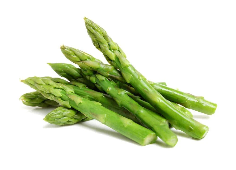 Green Asparagus Seeds | 150+ Non-GMO Seeds | Fresh Garden Seeds for Planting | Asparagus officinalis