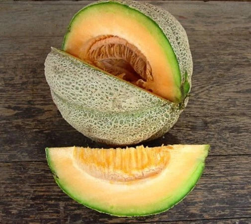 Hearts of Gold Melon Seeds - 20 Premium Fresh Choice Harvested Seeds - Cucumis melo