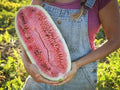 Charleston Grey Watermelon Seeds - 50+ Heirloom Organic Non-GMO Seeds - Giant Variety