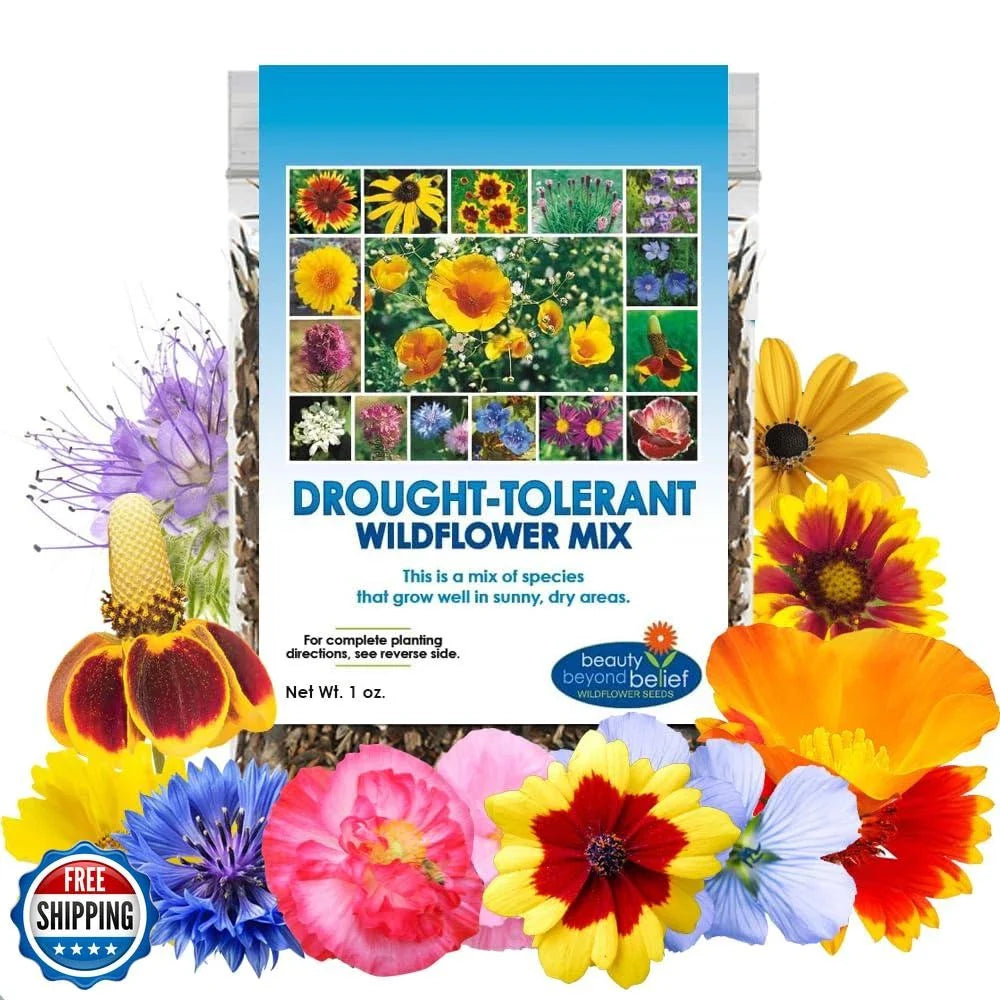 Drought Resistant Wildflower Seeds - 1oz Bulk - Open-Pollinated Flower Seed Mix - Native Wildflowers