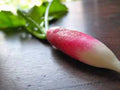 Heirloom Root Vegetable Seed Garden Collection, 5 Varieties, Organic Seeds for Home Gardening, Perfect for Growers
