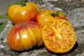 Buffalosun Tomato Seeds - 120 Organic Hybrid F1 Seeds - Fresh Heirloom Variety - Solanum lycopersicum