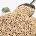 3Lb Maifanitum Stones for Succulents, 1/8"-1/4" Golden Pea Gravel for Cactus, Decorative Gravel for Planting
