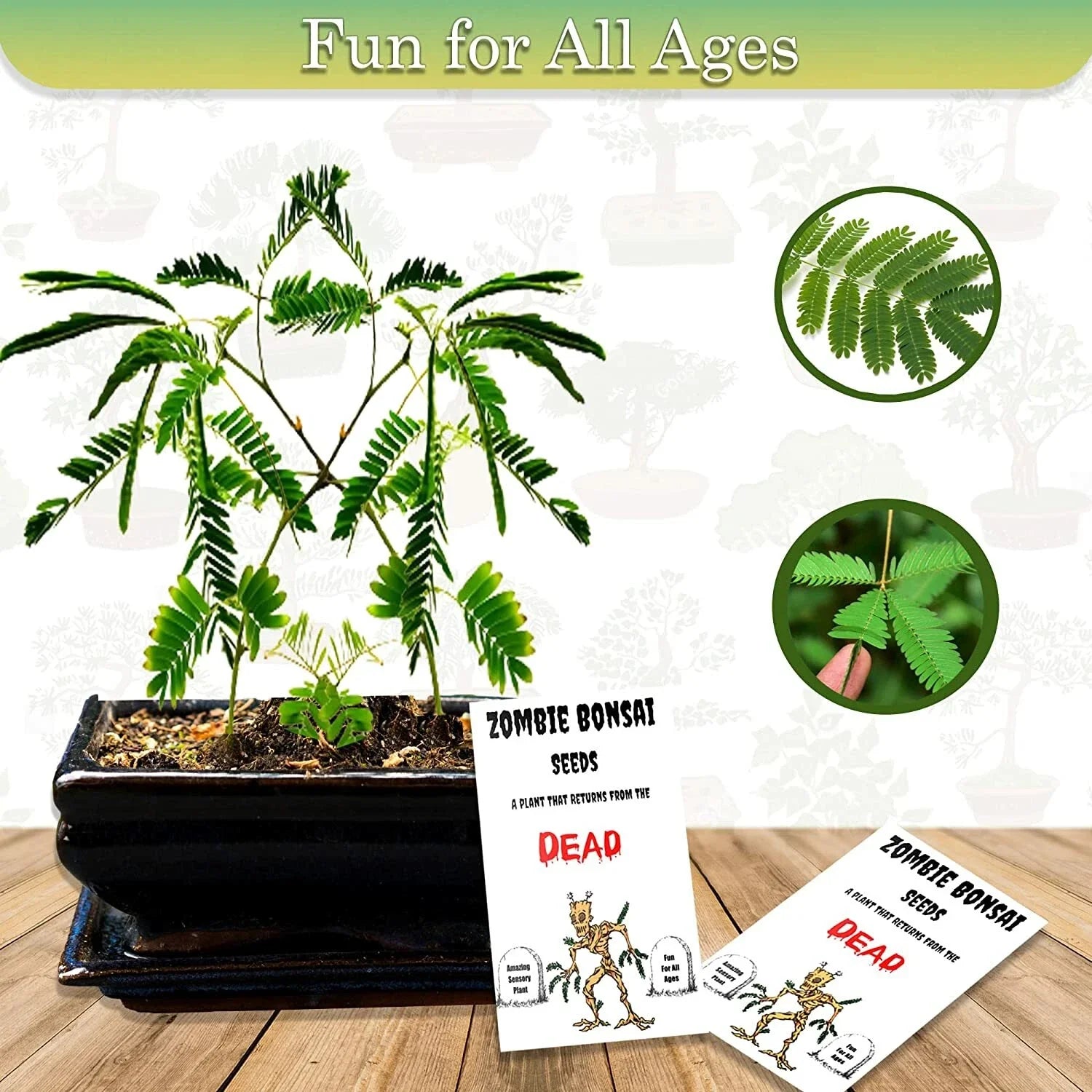 Zombie Bonsai Seed Packets (2 Pack) Sensory Plant - Touch-Reactive Bonsai Seeds for Unique Gardening Experience