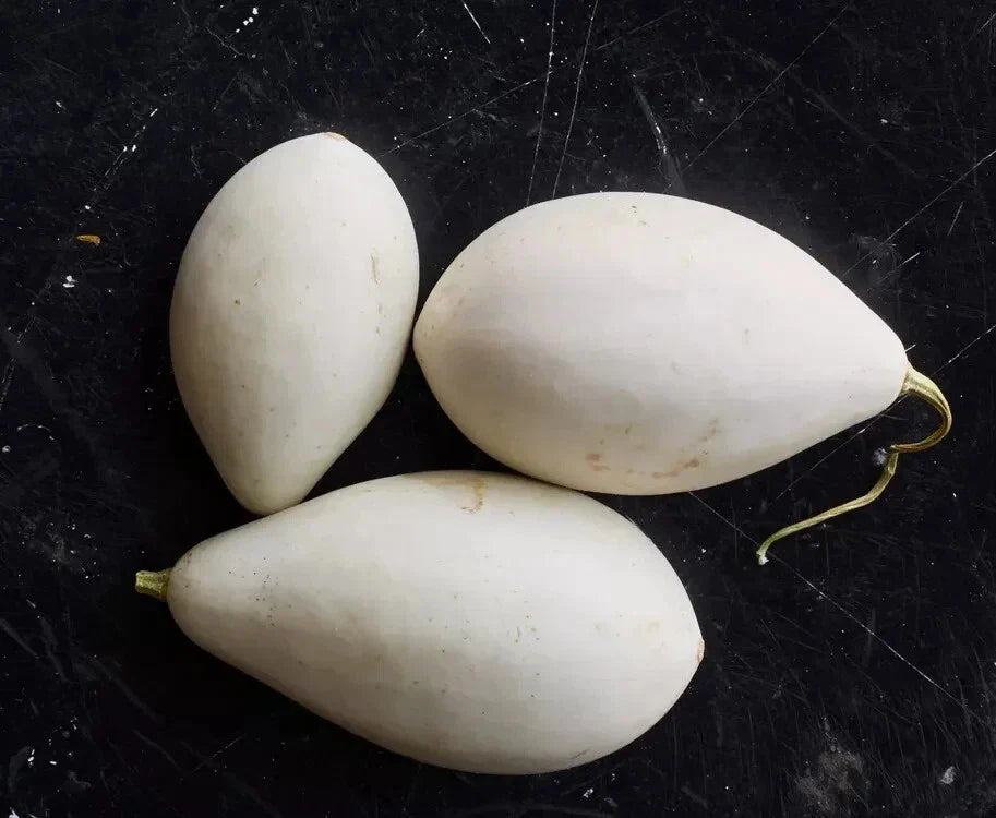 Nest Egg Gourd Seeds - 25+ Pack for Garden Planting - Lagenaria siceraria - USA Grown, Free Shipping