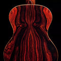 Cocobolo Tree Seeds for Planting, Premium Lumber Variety for Fine Woodwork, Dalbergia retusa