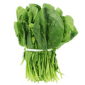 Tendergreen Spinach Seeds | Non-GMO Mustard Seeds | Heirloom Vegetable Seeds | Spinacia oleracea, Brassica juncea