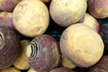 Rutabaga Seeds, NON-GMO, Laurentian Variety, Canadian Turnips, Free Shipping
