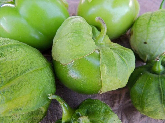 Tomato Seeds - Toma Verde Tomatillo Seeds - Fresh Heirloom Variety - High Germination Rate - Organic Non-GMO