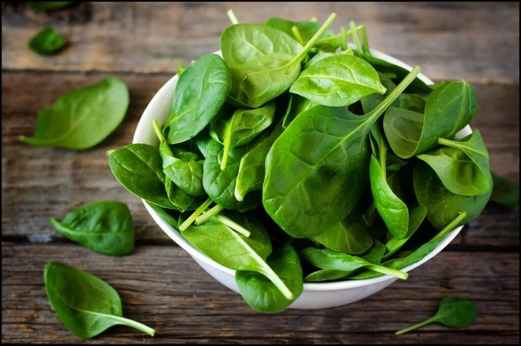 Giant Noble Spinach Seeds - 31,000+ Non-GMO Seeds (1 lb) - Heirloom Vegetable Garden Seeds - Spinacia oleracea