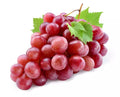 Red Concord Grape Seeds 20+ Pack - Grow Vines for Wine Making & Fruit Desserts - Vitis labrusca