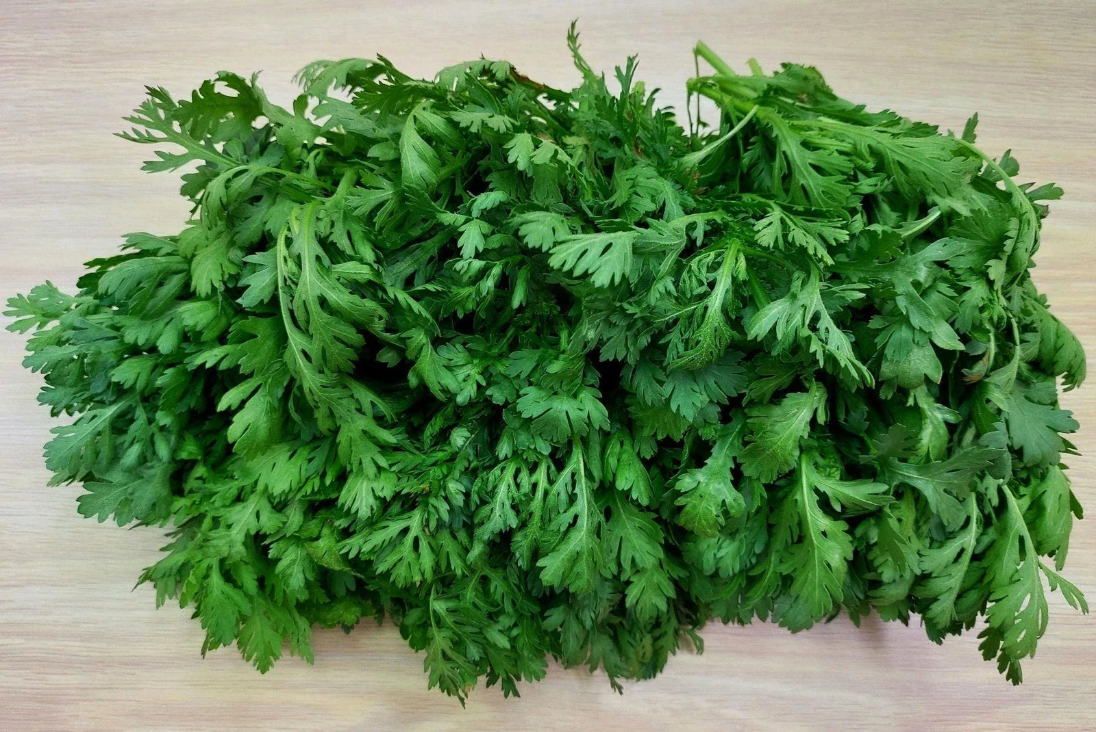 Shungiku Seeds 100g Asian Greens Choy Suy-Tongho Edible Chrysanthemum (Glebionis coronaria)