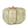 Blue Doll Pumpkin Seeds - 25+ Pack for Garden Planting - Cucurbita pepo - USA Grown, Free Shipping