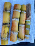 Sugarcane Buds - Fresh Cut Heirloom - Ready to Plant - 4+ Buds - Florida Grown