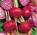 Crosby Egyptian Beet Seeds 100+ Non-GMO Seeds Beta vulgaris - Buy 4 Items Free Shipping