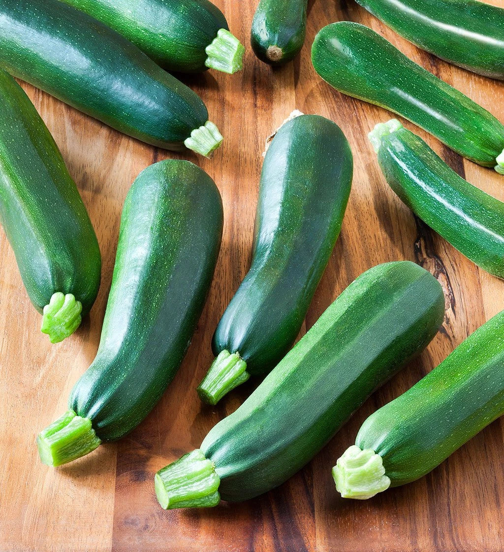 Zucchini Seeds - 50+ Organic Black Beauty Non-GMO Heirloom | Cucurbita pepo